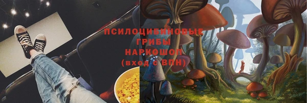 гидропоника Алексин