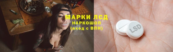амф Алзамай