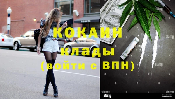 дмт Алексеевка